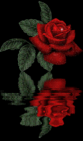 Roses.gif image by caylene_07
